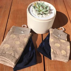 Zara Kids Polka Dot Socks in Navy & Gold NWT